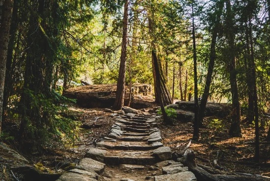 Road Trips from Oakdale, CA: Unveiling Hidden Gems and Scenic Routes